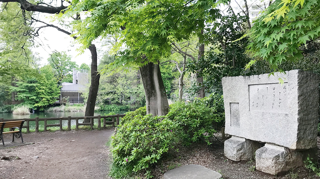 雨をうっとうしく感じたら。「野口雨情」の歌で心おだやかに♪ | 吉祥寺.me